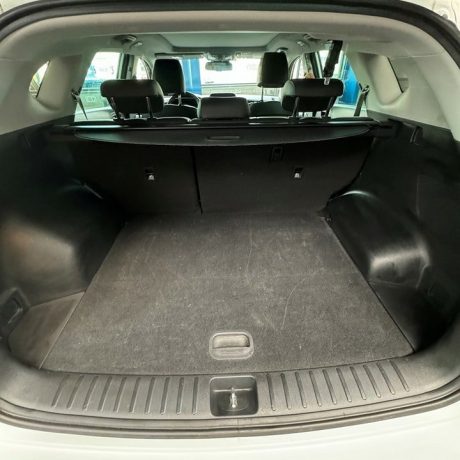 433691879_122127844478210285_2681268579771103791_n