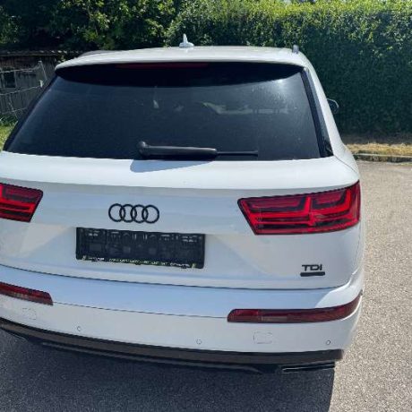 532140407_122119887398953010_8327434469808566144_n