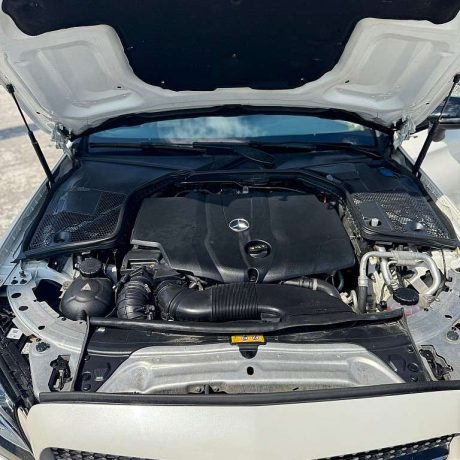 534616536_122121454760953010_5300274540215430720_n