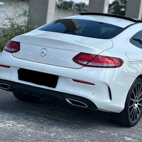 534829962_122121454448953010_3933773449553066590_n